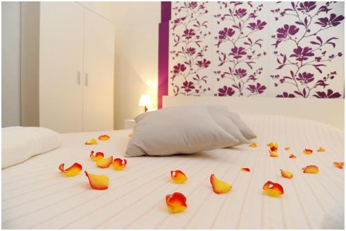 un grupo de aves sentadas en una cama en Guest house D&G -I apartment & room, en Zadar