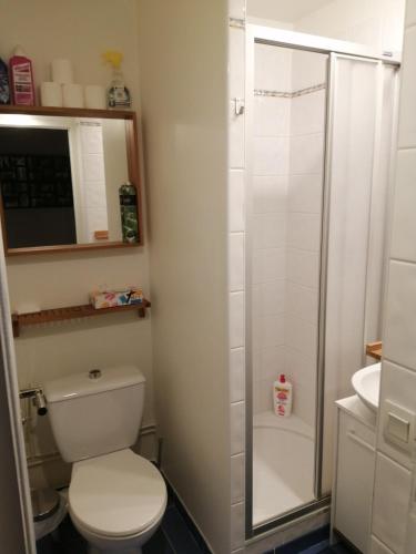Un baño con inodoro blanco y ducha. en GINGER, en Cancale
