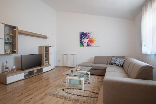 TV a/nebo společenská místnost v ubytování Apartments Lara