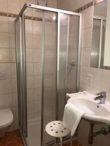 a bathroom with a shower and a sink and a toilet at Gasthof Wiesenhof in Strobl