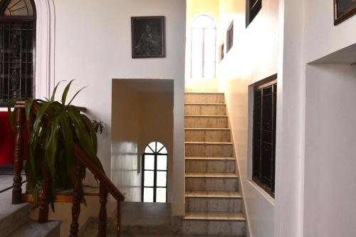 a staircase in a house with a potted plant at Kanhaia Haveli in Pushkar