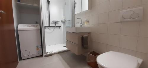 ツェルマットにあるViktoria B (J)のバスルーム(トイレ、洗面台、シャワー付)