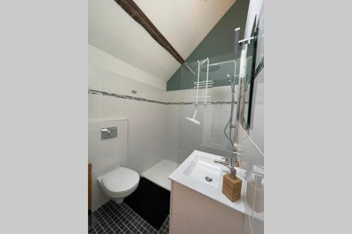 a bathroom with a white toilet and a sink at Studio indépendant 2 pers - Châtillon sur Colmont la petite gare in Châtillon-sur-Colmont