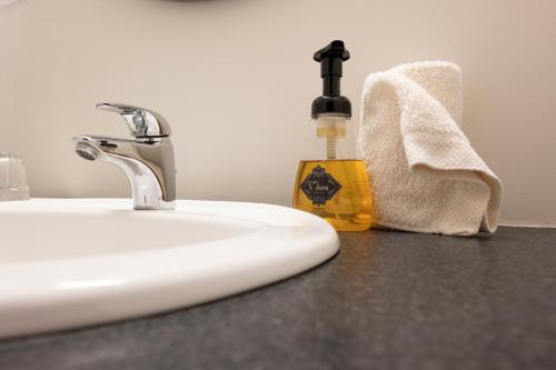 a bathroom sink with a bottle of soap and a soap dispenser at Hótel Fljótshlíd in Hlíðarendi