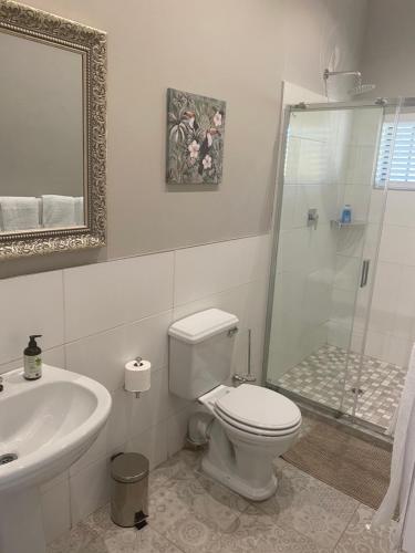 uma casa de banho com um WC, um lavatório e um chuveiro em Steenkoppies semi self catering apartment em Magaliesburg