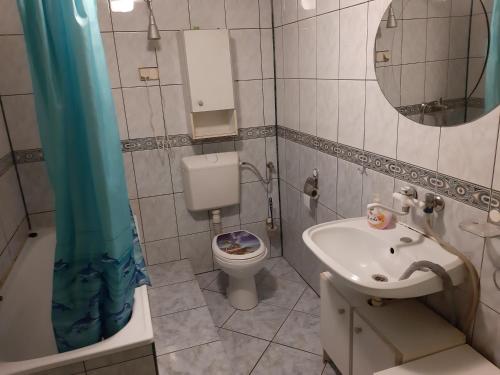 a bathroom with a sink and a toilet and a mirror at Drawa in Przesieki