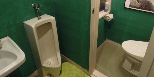 a green bathroom with a urinal and a sink at Bellscabin Guesthouse in Karuizawa