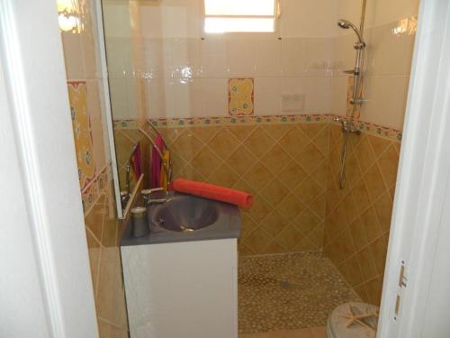 a small bathroom with a sink and a shower at TI COLIBRI COQUET T2 VUE MER Possibilité repas in Le Robert