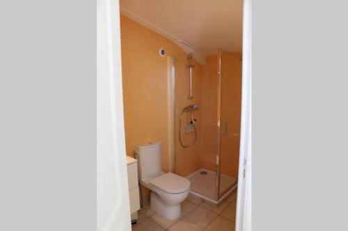 a bathroom with a toilet and a shower at Studio indépendant au calme avec parking privatif in Caucalières
