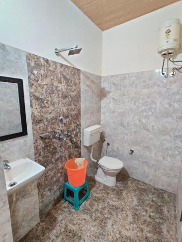 a bathroom with a toilet and a sink at RUJHAN in Amritsar