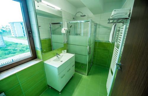 a bathroom with a sink and a shower and a mirror at Elina in Techirghiol