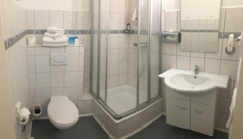 a bathroom with a shower and a toilet and a sink at Schloß Altenhausen in Altenhausen