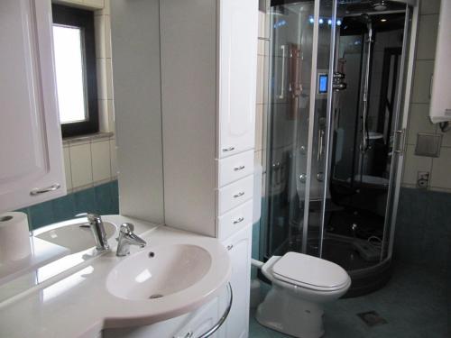 een badkamer met een douche, een toilet en een wastafel bij Holiday Home Češnovar in Raka