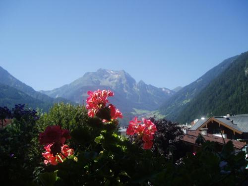 a view of mountains with red flowers in the foreground at edelweiss lounge restaurant hotel pizza cafe billard gasthof in Mayrhofen