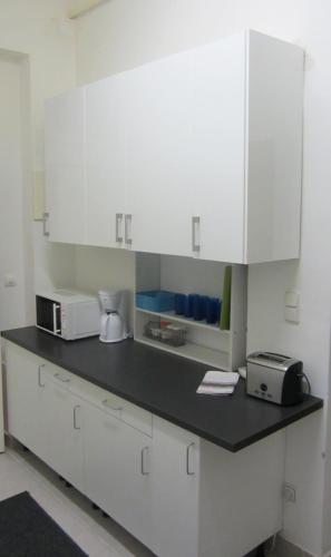 Virtuvė arba virtuvėlė apgyvendinimo įstaigoje Apartments Johann