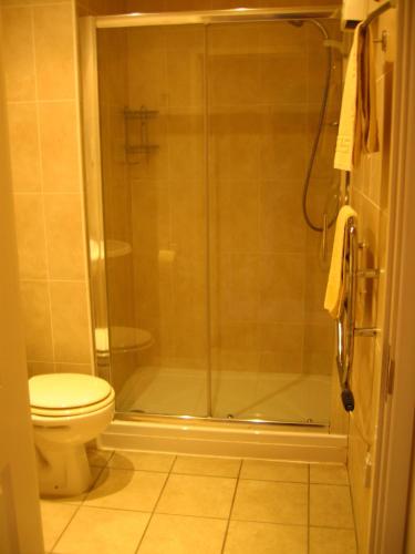 a bathroom with a shower and a toilet at Simpson's Apartments in Daventry