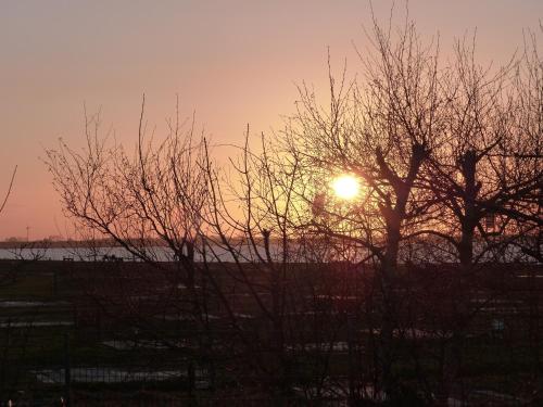 um pôr-do-sol atrás das árvores com o sol no céu em Strand-Hotel em Dangast