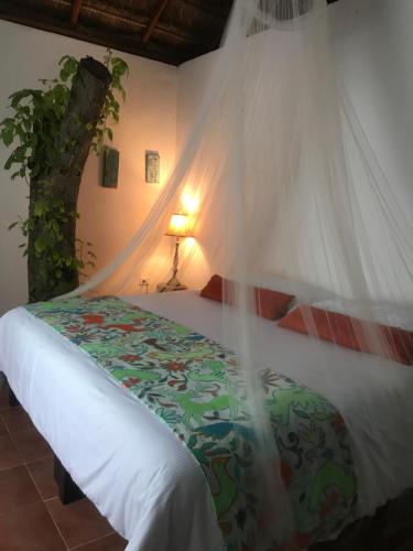 Кровать или кровати в номере Ecovergel Hotel Riviera Maya