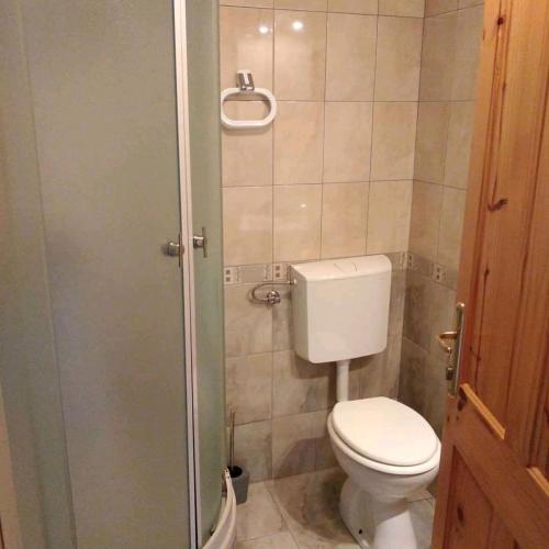 a small bathroom with a toilet and a shower at Apartment Petra in Mrkopalj