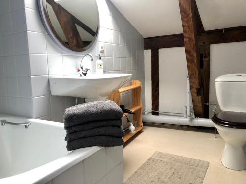 ein Badezimmer mit einem Waschbecken, einem WC und einem Spiegel in der Unterkunft La Clé d'Alsace in Sainte-Marie-aux-Mines