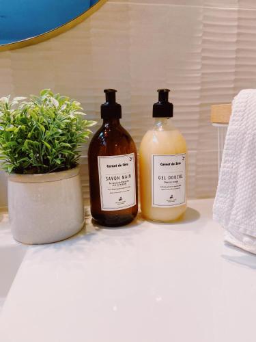 three bottles of soap and a potted plant on a counter at Le Carnet de Sète et sa vue sur le canal in Sète