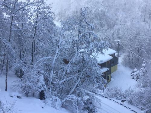 Gallery image of HÔTEL RESTAURANT LA FOURMI in Bourbach-le-Haut