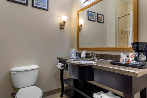 a bathroom with a toilet and a sink with a mirror at Comfort Inn & Suites, White Settlement-Fort Worth West, TX in Fort Worth
