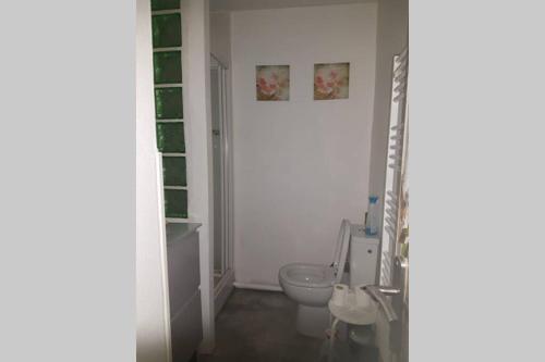 La salle de bains blanche est pourvue de toilettes et d'un lavabo. dans l'établissement Appt 2 étoiles agréable et calme vue sur montagnes, à Amélie-les-Bains-Palalda