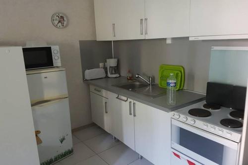 uma pequena cozinha com um lavatório e um fogão em Appt 2 étoiles agréable et calme vue sur montagnes em Amélie-les-Bains-Palalda