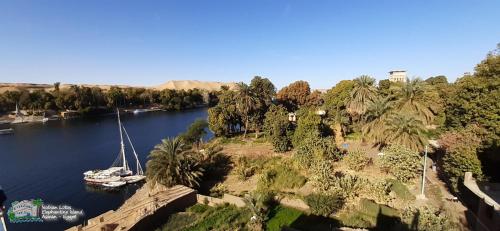a river with boats in the water and palm trees at Nubian Lotus in Aswan