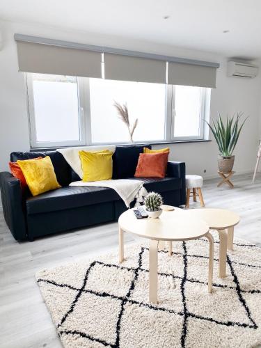 a living room with a blue couch with colorful pillows at Appart Aldyis in Sprimont
