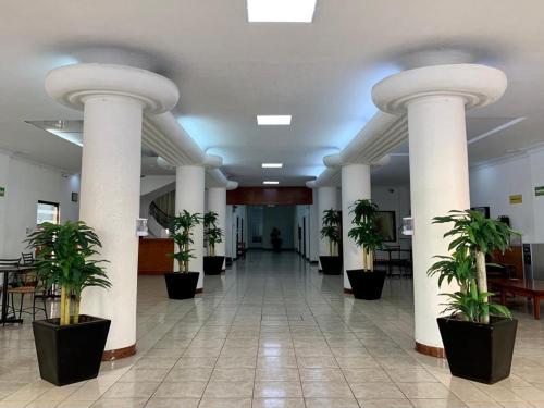 un couloir avec colonnes et plantes dans un bâtiment dans l'établissement Hotel Capri de Leon Mexico, à León
