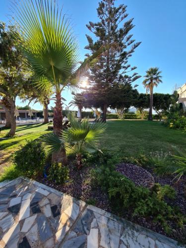 a park with palm trees and a lawn at Abella Hotel in Agia Marina Nea Kydonias