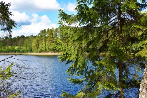 Blick auf einen See mit Bäumen im Vordergrund in der Unterkunft Vidūnų sodyba in Kuktiškės