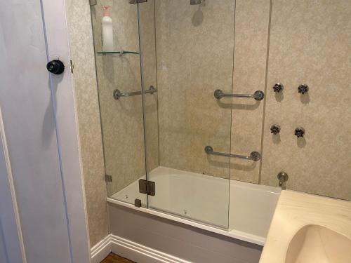 a shower with a glass door in a bathroom at Daisy Cottage on Duke 3BR in Yarram