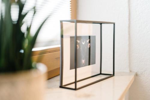 a picture of a cat in a glass box on a table at Moderne 2 Zi.-FeWo BlackForest Art Barrierefrei Nähe Freiburg in Simonswald