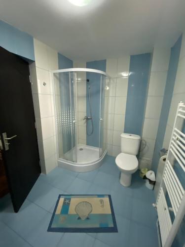a small bathroom with a shower and a toilet at Casa Cristalina&Dumi in Albac