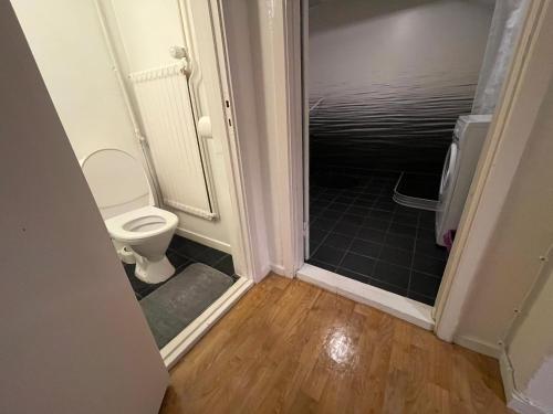 a bathroom with a toilet and a walk in shower at Apartment nr 7 in Kiruna C in Kiruna