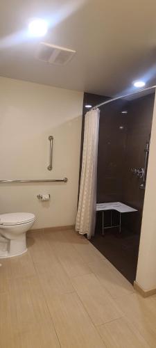 a bathroom with a toilet, sink, and shower at Hyatt House Seattle Downtown in Seattle