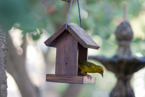 a bird is sitting on a bird house at Malagas Hotel in Malgas