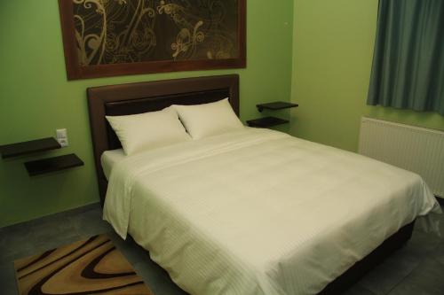 a large white bed in a green bedroom at Aphrodite in Keramotí