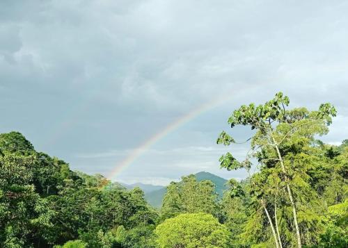 a rainbow in the sky over a forest at Pousada Bella Ana in Visconde De Maua