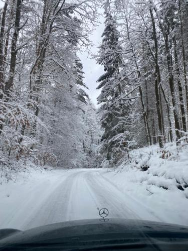 a car driving down a snow covered road with trees at Villa Rasmus in Kołobrzeg