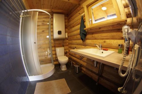 a bathroom with a toilet and a shower and a sink at Brīvdienu mājiņas Zemzari in Jūrkalne