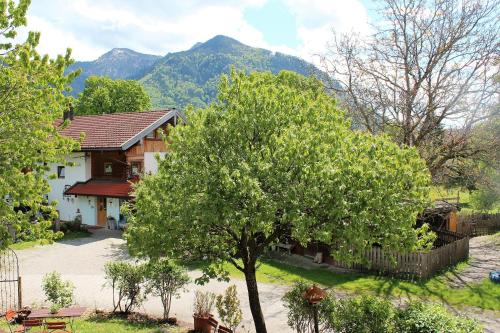 a house with a tree and mountains in the background at Fetznhof-Zuhaus in Grassau