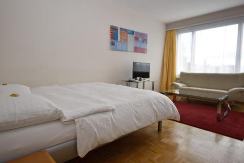 Spacious studio with balcony - Vineyard 71