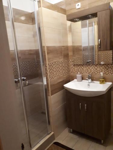 a bathroom with a sink and a shower at Katalin Apartman in Hajdúszoboszló