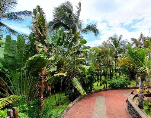 a path through a garden with palm trees at Loc974 Les Cocotiers in Saint-Leu