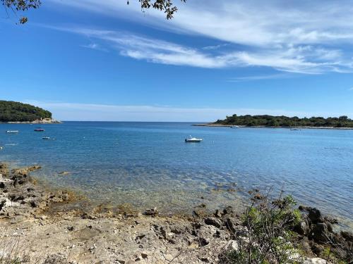Campsite Piccolo – Photos 3