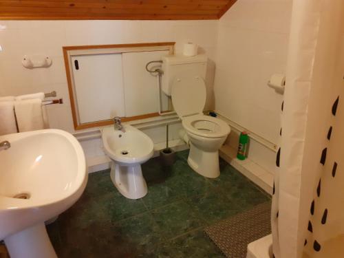 uma casa de banho com um WC branco e um lavatório. em Miklai Ház em Szigliget